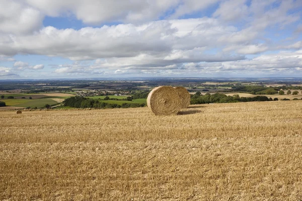 Harvest time scenery — Stock Photo, Image
