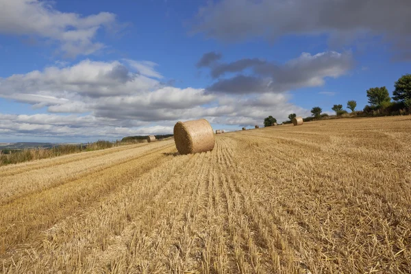 Shower clouds over stubble — Stock Photo, Image