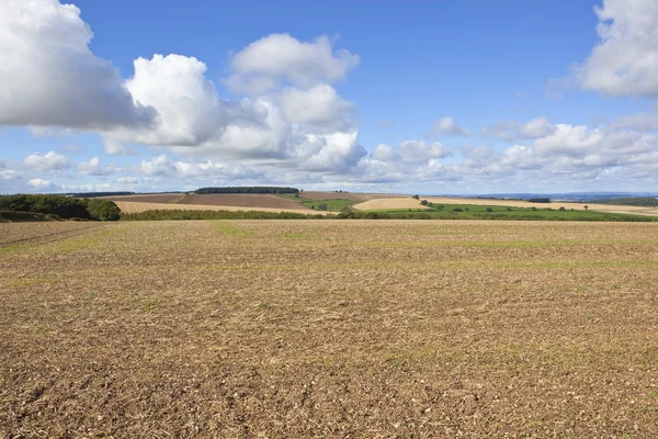 Chalky paisagem agrícola — Fotografia de Stock