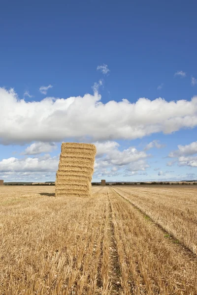 Leaning hay stack — Stock Photo, Image