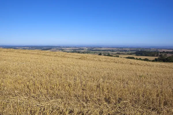 Yorkshire wolds scenery — Stock Photo, Image