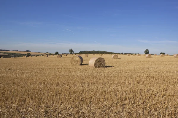 Scenic stubble field — Stock Photo, Image