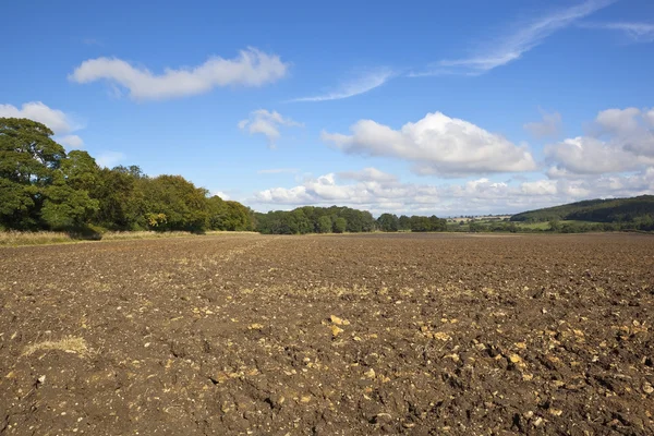 Campo arado de outono — Fotografia de Stock