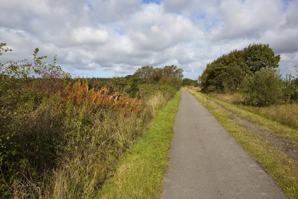 Cycle track in autumn — Stock Photo, Image