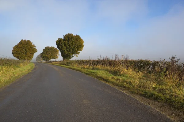 Ködös őszi autópálya — Stock Fotó