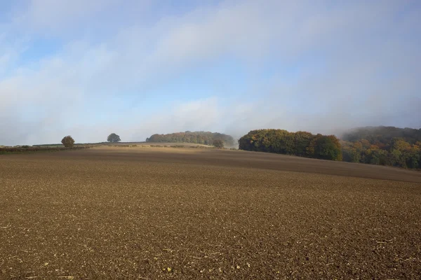 Herbstnebel — Stockfoto