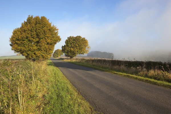 Nebelige Landschaft — Stockfoto