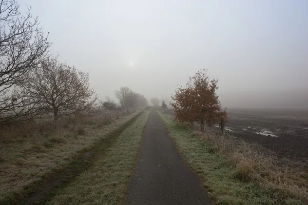 Ködös kerékpárút Stock Fotó
