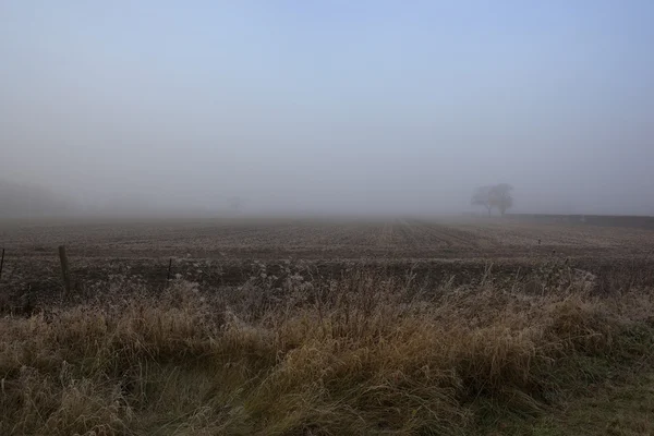 Frostige Morgenlandschaft Stockfoto