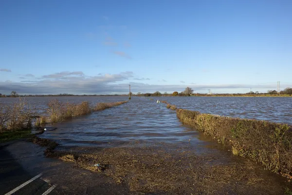 Flooded hedgerow — Stock Photo, Image