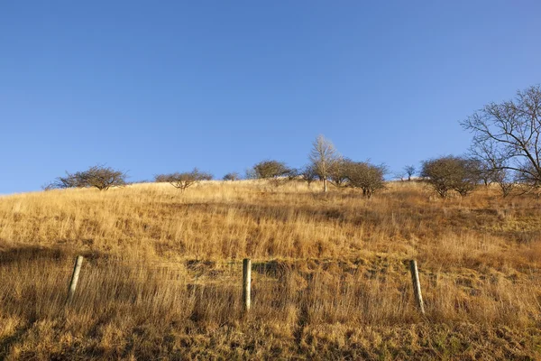 Dry grassy hillsides — Stock Photo, Image