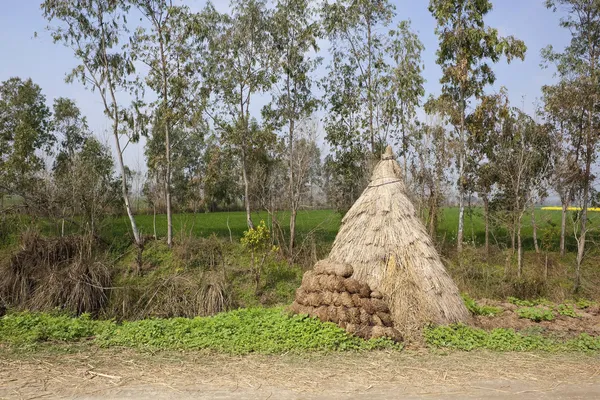 Traditioneller Punjab — Stockfoto