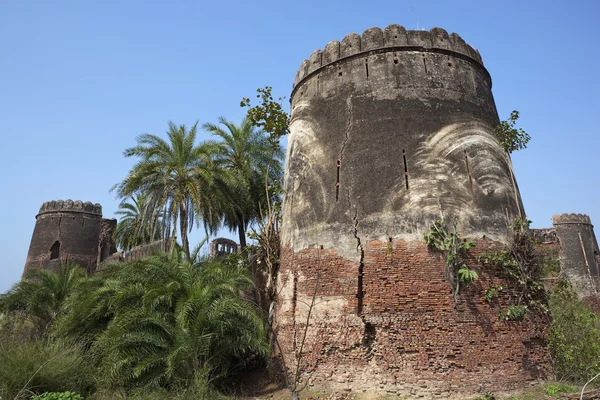 Herencia de Punjab —  Fotos de Stock