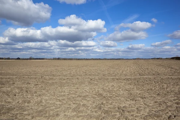 Soil and sky background — Stock Photo, Image