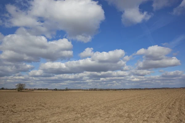 Cielo grande sobre tierra de arado — Foto de Stock