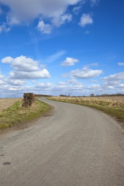 Kurvenreiche Straße — Stockfoto