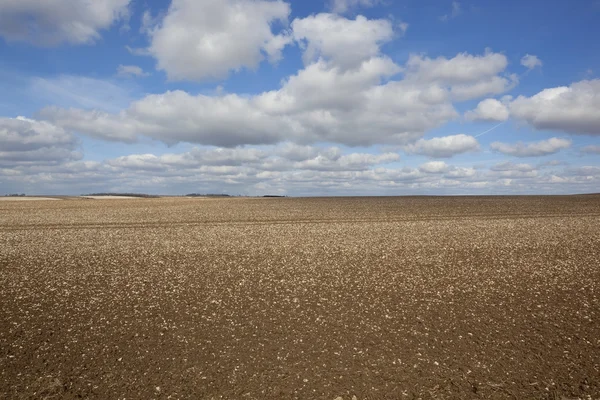 Chalky soil on the Yorkshire Wolds — Stock Photo, Image