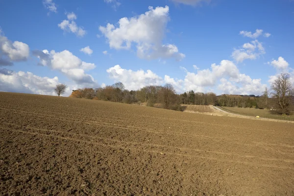 Английский сельскохозяйственный ландшафт — стоковое фото