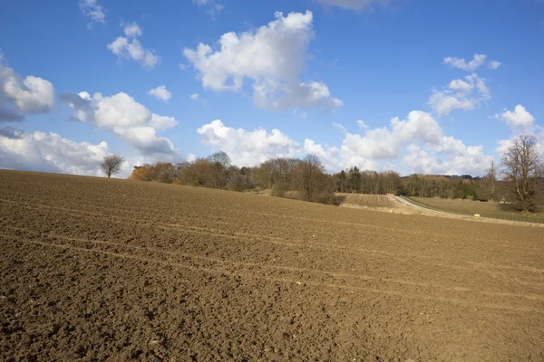 Panorama agricolo inglese — Foto Stock