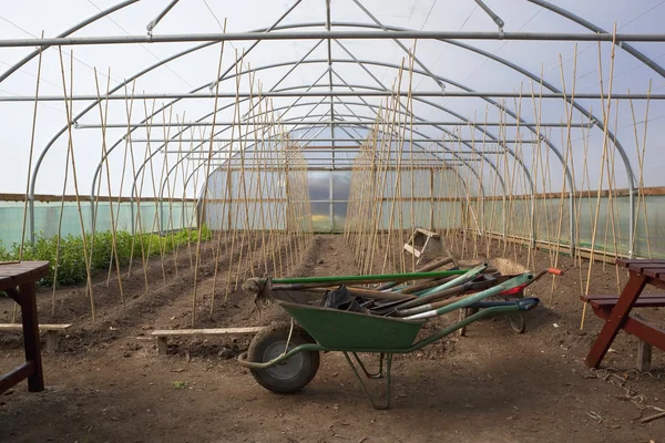 Horticultura de interior — Foto de Stock