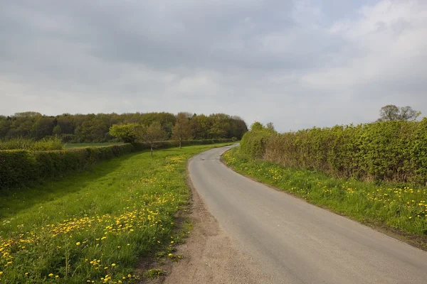 Strada di campagna inglese — Foto Stock