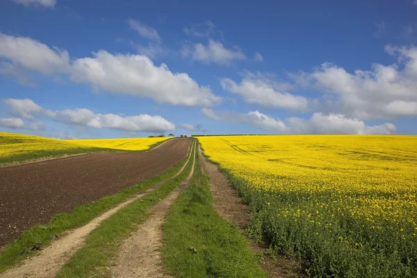 Paesaggio colorato — Foto Stock