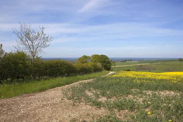 Yorkshire wolds rolnictwa — Zdjęcie stockowe