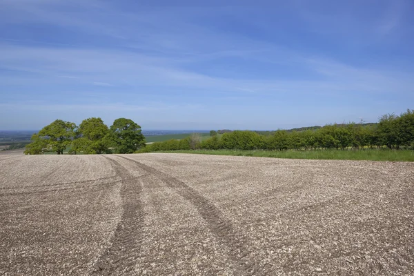 Agricultura inglesa — Fotografia de Stock