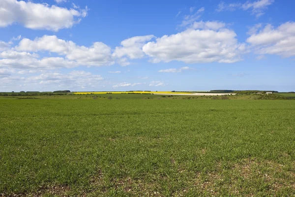 Йоркширское сельское хозяйство — стоковое фото