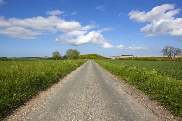 Yorkshire wolds weg — Stockfoto