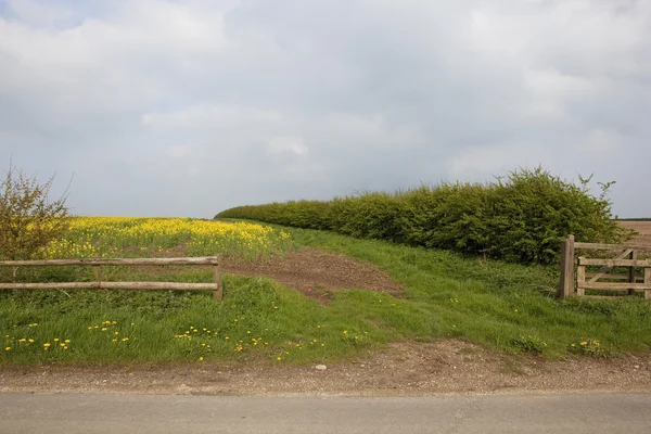 Agrarlandschaft — Stockfoto