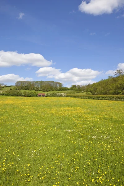 Йоркширський wolds декорації Ліцензійні Стокові Зображення