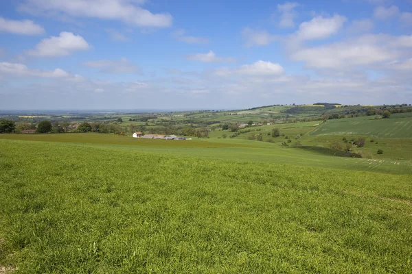 Scenic yorkshire wolds — Stock Photo, Image