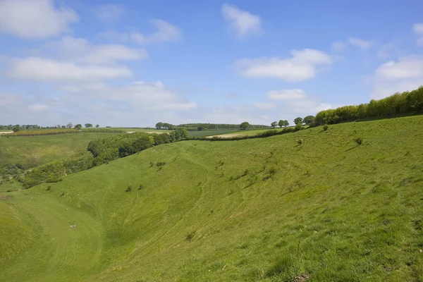 Green valley — Stock Photo, Image