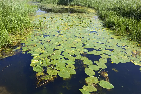 Canal background — Stock Photo, Image