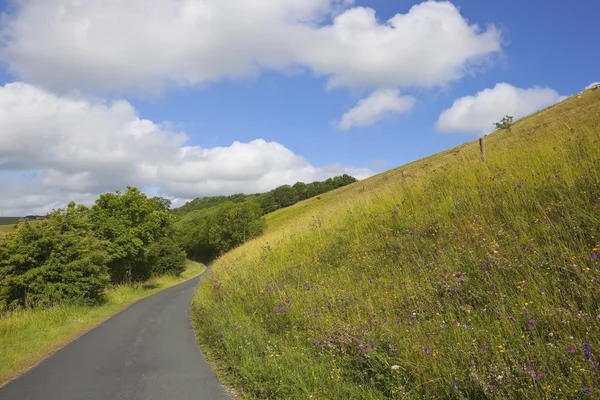 Yorkshire wolds polna droga — Zdjęcie stockowe