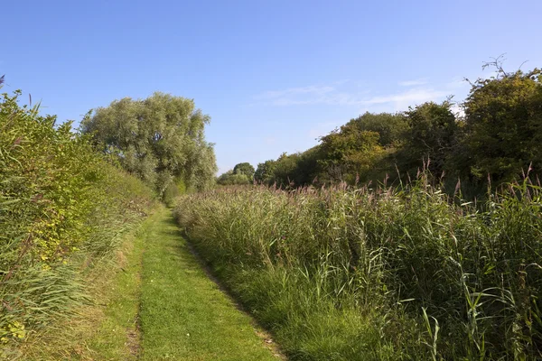 Summer canal towpath — Stock Photo, Image