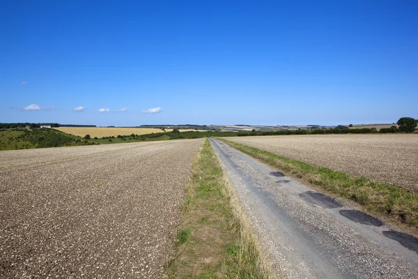 Landweg in de zomer — Stockfoto