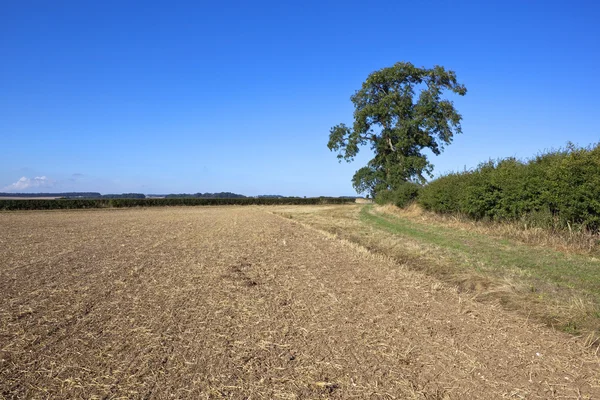 Solo cultivado — Fotografia de Stock