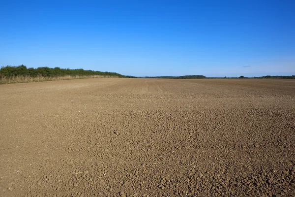 Cultivated arable field — Stock Photo, Image