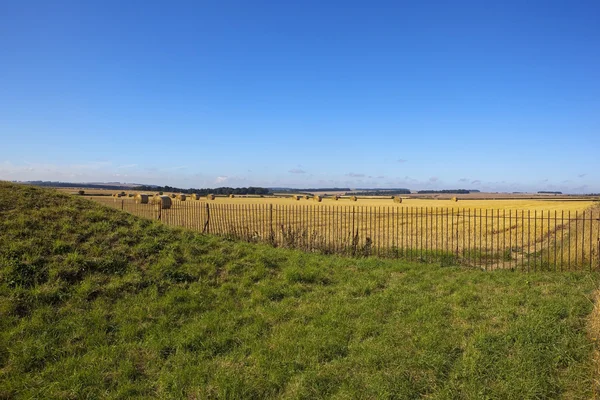 Round bales and railings — Stock Photo, Image