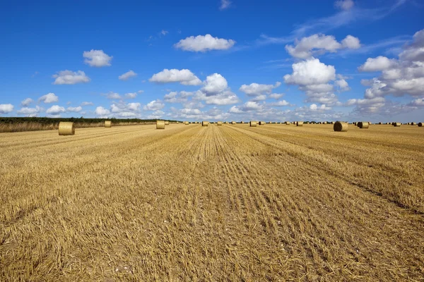 Rundbalar vid skörd — Stockfoto