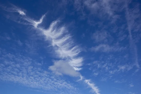 Nuvens de penas — Fotografia de Stock