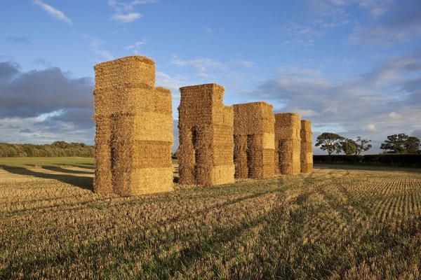 Tall bales in evening light — Stock Photo, Image