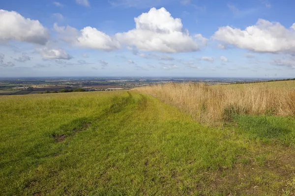 Hillside betesmark — Stockfoto