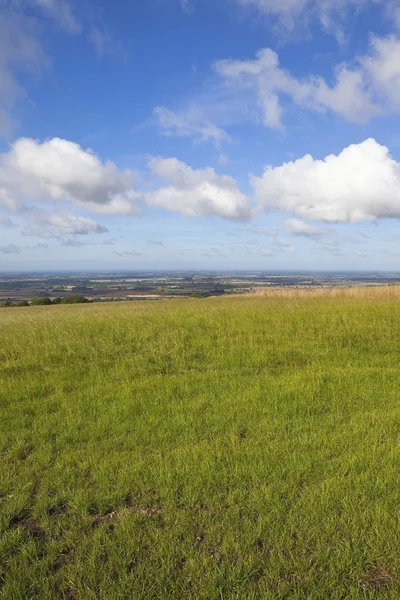 Late zomer landschap — Stockfoto