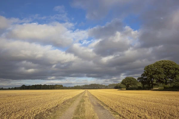 Gården spår och stormig himmel — Stockfoto