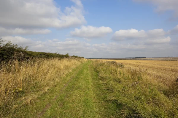 Münsterweg — Stockfoto