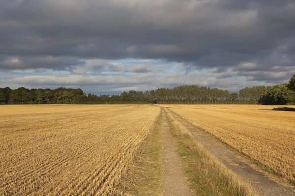 Erntezeit und stürmischer Himmel — Stockfoto