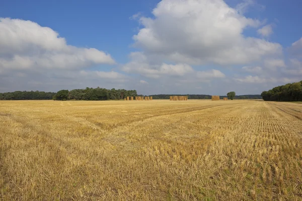 Hay stacks in late summer — Stock Photo, Image